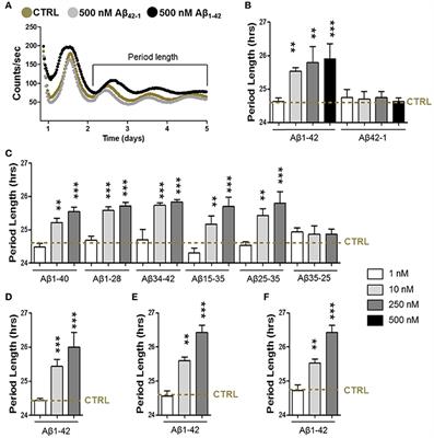 Amyloid-β–Induced Changes in Molecular Clock Properties and Cellular Bioenergetics